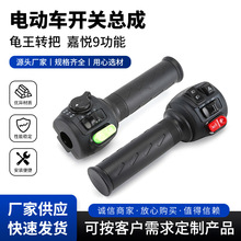 電動車開關總成 嘉悅9功能把座開關龜王轉把帶雙閃按鈕轉把總成