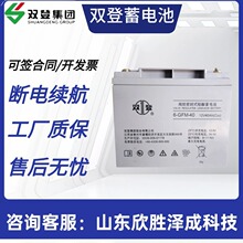 雙登蓄電池 6-GFM-40 12V40AH 直流屏UPS鉛酸免維護儲能電池