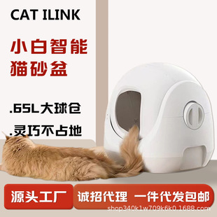 CATLINKȫԄ؈ɰ ProXȫ]ʽζ؈ԄPʺ