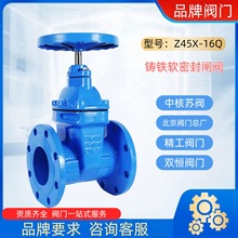 中核蘇閥Z45X-16Q軟密封暗桿閘閥鑄鐵閘閥 北京閥門總廠 精工雙恆