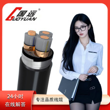 國標WDZ-YJY銅芯電纜3*10平方0.6/1KV低壓阻燃型低煙無鹵電線電纜