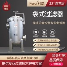 多袋過濾器電解質溶液過濾設備不銹鋼鹽水過濾機固液分離批量加工
