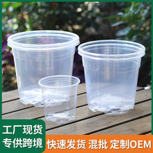 透明控根苗盆塑料蝴蝶蘭透氣家用透氣青山育苗盆多肉石斛觀根花盆