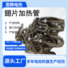 翅片電加熱管不銹鋼U型M型電熱管烘箱暖房干燒發熱管雙頭加熱棒