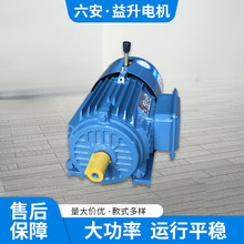 廠家供應YEJ160L-2極18.5KW電磁制動三相異步電動機銅芯剎車電機