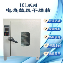 廠家直供 恆溫干燥烘箱工業電熱鼓風干燥箱 實驗室商用烤箱老化箱