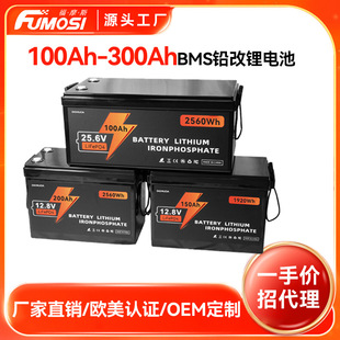 {BMSF늳12V24VSoULiFePo4늳