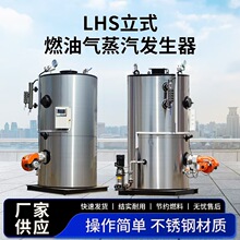 0.5T 1噸生物質蒸汽發生器 生物質蒸汽發生器滅菌專用鍋爐熨燙洗