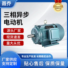 三相異步電動機380V全銅電機廠家定制2極4極6極三相異步振動電機