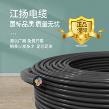 護套線家用戶外2/3/4芯1/1.5/2.5/4/6平方C級充電樁電纜電源線RVV