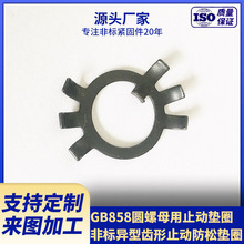 廠家供應齒形鎖緊墊圈 GB858圓螺母用止動墊圈