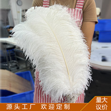 鴕鳥毛15-80cm廠家現貨鴕鳥羽毛婚禮裝飾DIY工藝品舞台服裝批發