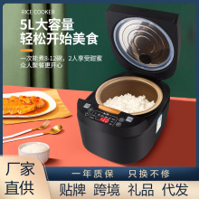 批發5升大容量電飯煲家用智能不粘鍋 多功能電飯鍋 廠家跨境熱銷