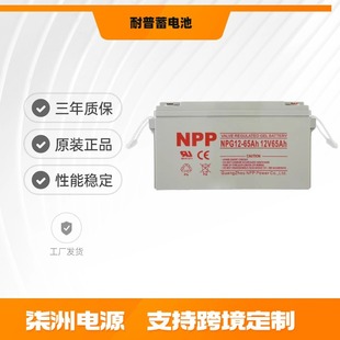 NPP늳NPG65-12 ̫ 12v65AH ֱ 늳