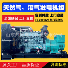 沼氣天然氣發電機組大型三相沼氣發電機組油田養殖天燃氣發電機組