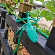 超可愛螳螂花園園林園藝卡通扎帶戶外庭院樹枝整理綁帶植被裝飾