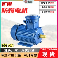 防爆三相異步電動機 礦用機械專用電機 供應YBK系列防爆電機