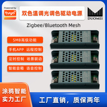 塗鴉智能20W30W40W雙色溫調光調色語音APP控制大功率LED驅動電源