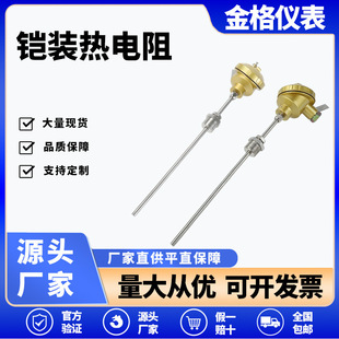 PT100鎧裝熱電阻WZPK系列304材質耐高溫K/E/J/T溫度傳感器
