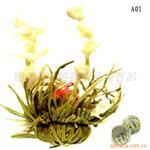 �����г��ع���Ʒ ���ղ�Blossomingtea