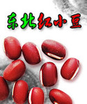 ��Ӧ��ʯ����