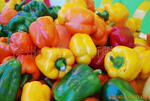��Ӧ��ɫ�����߲�����-���ڲ�ɫ��������/�߲ʽ�����