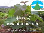 ��Ӧ��ľ��ľ�ذ��òġ������̻���ľ��