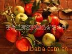 ��ӦPP�͵�,����,����,���,�豭��