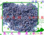 ��Ӧ�²������Բ��½�����޹�²���  Ѭ�²���