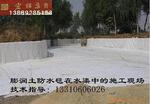 供应膨润土防水毯 膨润土防水垫 覆膜膨润土防水毯