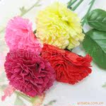 供应三八节,母亲节促销礼品/单支康乃馨香皂花 教师节礼物