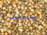 供应干贝柱/干贝/干贝丁/瑶柱/干制海产品