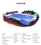承建国际标准无缝泳池项目(图)