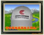 批发空白帽子,小批量定做棒球帽 旅游帽 印刷或刺绣棒球帽