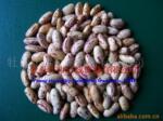 ��Ӧ�����̻��ƶ���180��/100g