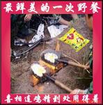批发供应复合调料