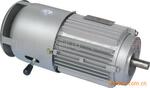 UAEJ系列提升机专用电机