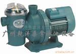 “爱克AQUA”按摩循环水泵/泳池专用水泵2.0HP/220V/泳池设备
