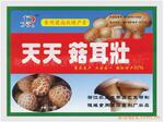 供应食用菌拌料型专用生长素,营养素,天天菇耳壮