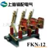 供应FKN-12/400负荷开关 CS8-5
