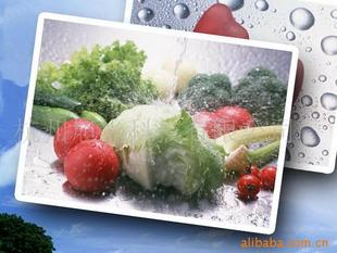 其他耗材-喷墨打印胶片喷墨防水胶片 防水制版