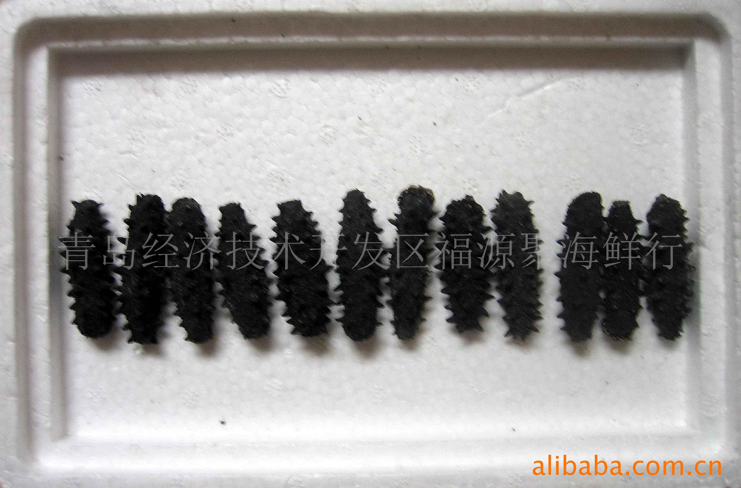 野生干海参-价格及生产销售厂家-青岛经济技术