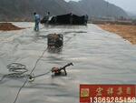 供应低价防渗环保型HDPE土工膜朱洪艳
