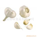 增味供应100%纯蒜粉