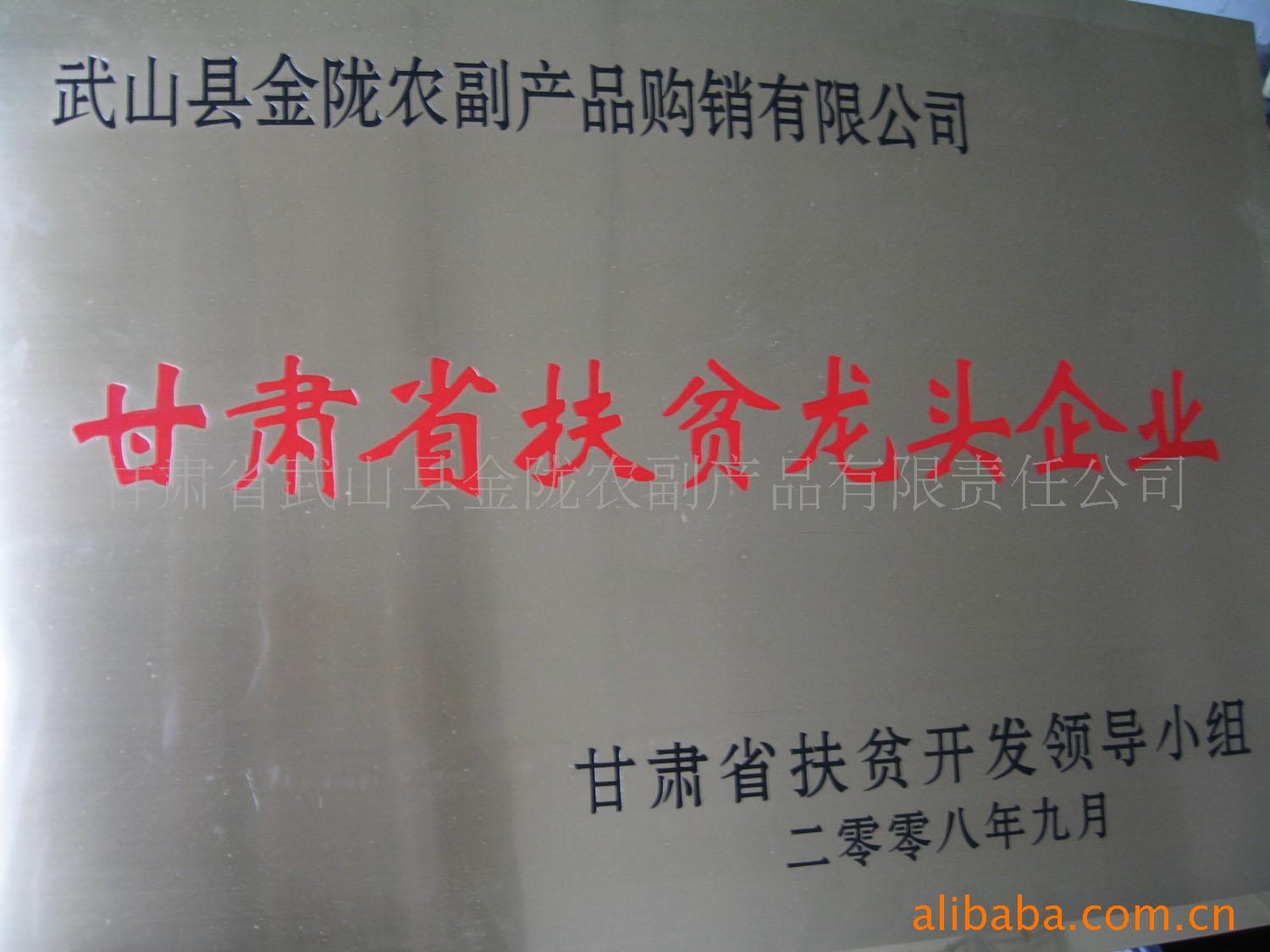 2008年评为甘肃省扶贫龙头企业