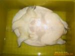 供应特种养殖动物仿野生黄沙鳖