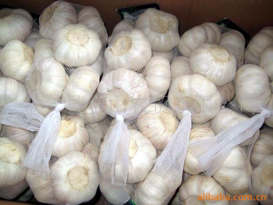 长期供应优质金乡大蒜_华夏大蒜网
