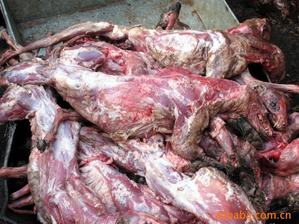 供应貉子肉-倪铁柱-中国农产品网