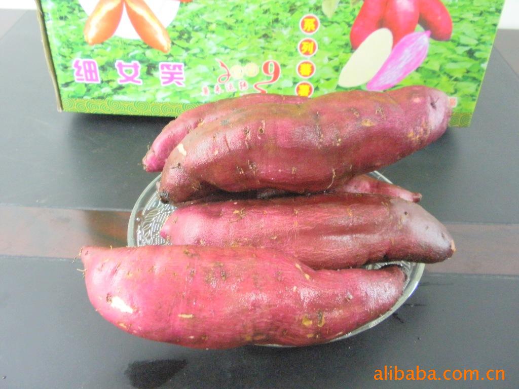 纯天然食品\/高州特产仙人洞番薯\/地瓜\/甘薯-薯类价格及生产销售厂家-钟平 - 农业品商贸网