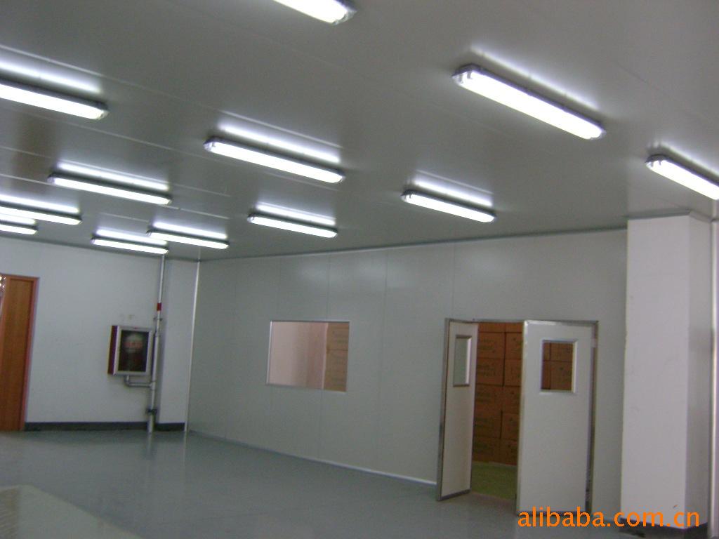 无尘室 净化车间 电子车间各种级别净化(千级-